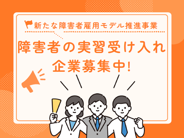 新たな障害者雇用モデル推進事業【第9回全体会プレゼン発】